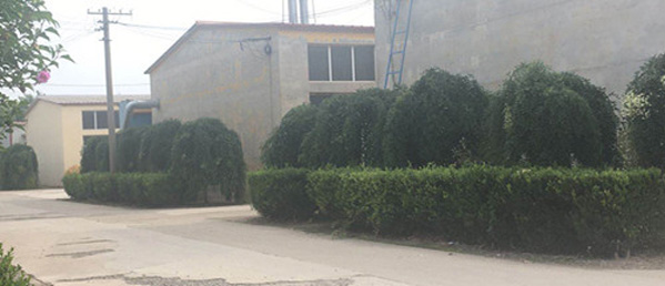 專業(yè)的技術(shù)團(tuán)隊(duì),為客戶私人定制